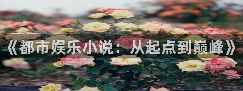福建sbobet利记机电股份公司：《都市娱乐小说：从起点到巅峰》