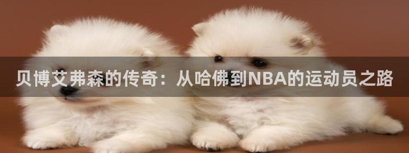 sbobet利记平台：贝博艾弗森的传奇：从哈佛到NBA的运动员之路