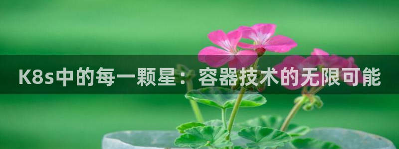 sbobet利记4登录：K8s中的每一颗星：容器技术的无限可能