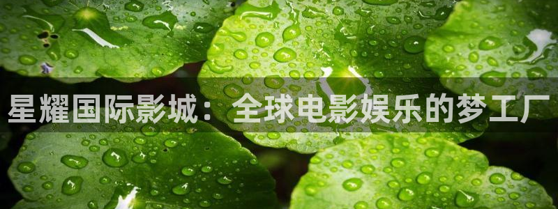 sbobet利记3登录：星耀国际影城：全球电影娱乐的梦工厂