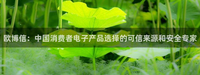sbobet利记平台总代理：欧博信：中国消费者电子产品选择的可信来源和安全专家