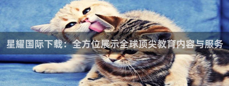 sbobet利记体育凯捷平台招商：星耀国际下载：全方位展示全球顶尖教育内容与服务
