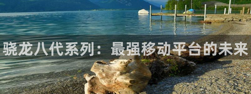 sbobet利记加拿大在线预测：骁龙八代系列：最强移动平台的未来