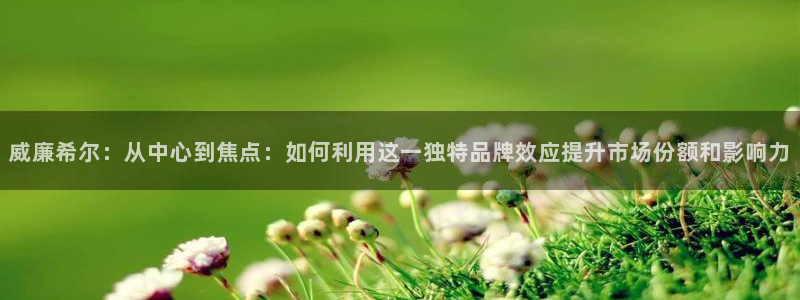 sbobet利记体育注册平台：威廉希尔：从中心到焦点：如何利用这一独特品牌效应提升市场份额和影响力