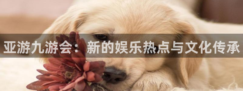 sbobet利记怎么下载：亚游九游会：新的娱乐热点与文化传承
