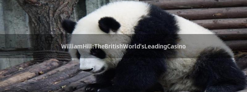 sbobet利记5：WilliamHill:TheBritishWorld\'sLeadingCasino