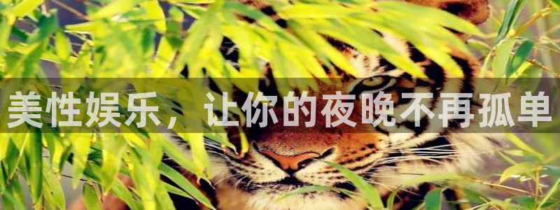 sbobet利记app 是什么：美性娱乐，让你的夜晚不再孤单