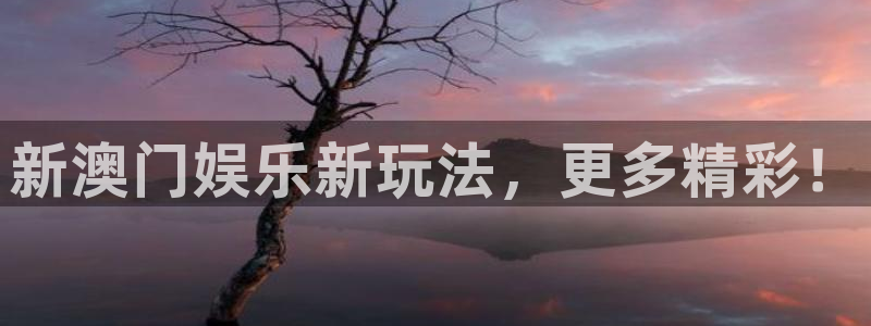 sbobet利记游戏试玩：新澳门娱乐新玩法，更多精彩！