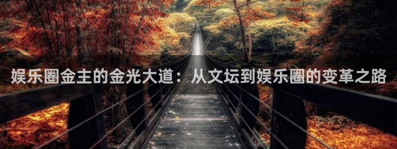 sbobet利记5：娱乐圈金主的金光大道：从文坛到娱乐圈的变革之路