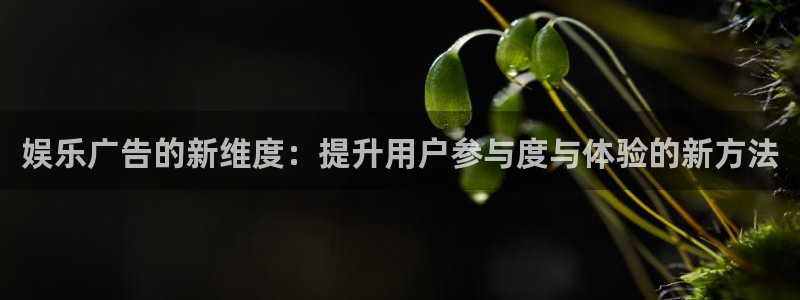 sbobet利记在线下载：娱乐广告的新维度：提升用户参与度与体验的新方法