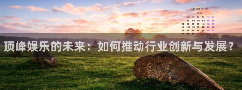 pgsbobet利记平台下载入口：顶峰娱乐的未来：如何推动行业创新与发展？