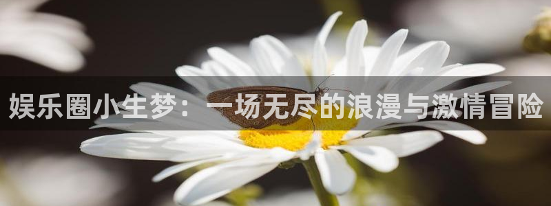 sbobet利记体育官网登录：娱乐圈小生梦：一场无尽的浪漫与激情冒险