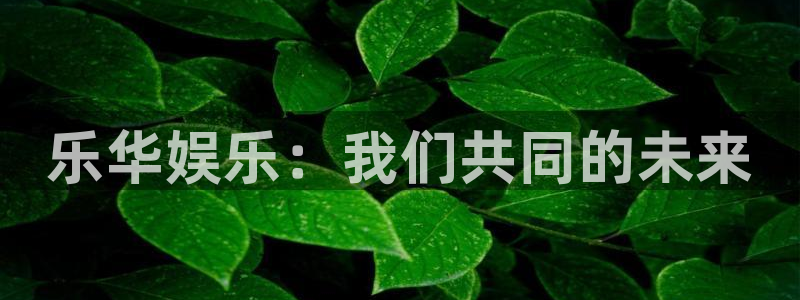 东莞市sbobet利记电子科技有限公司：乐华娱乐：我们共同的未来