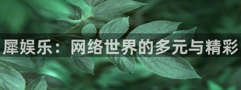 sbobet利记4平台注册：犀娱乐：网络世界的多元与精彩