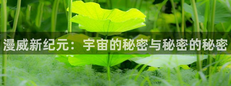 sbobet利记2体育登录入口：漫威新纪元：宇宙的秘密与秘密的秘密