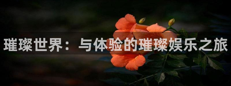 sbobet利记ccmpc：璀璨世界：与体验的璀璨娱乐之旅