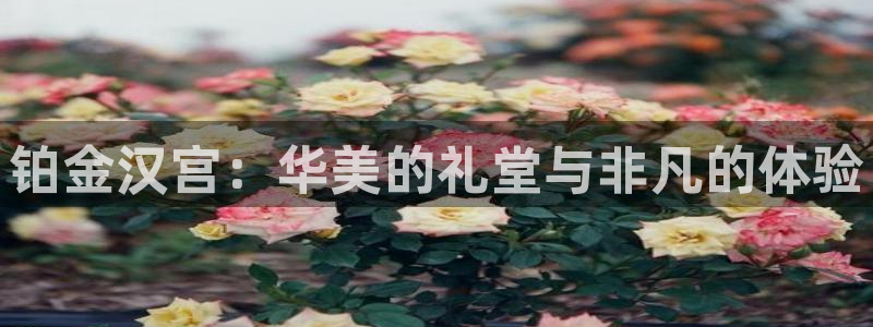 sbobet利记.ccmpc正版官网版下载：铂金汉宫：华美的礼堂与非凡的体验