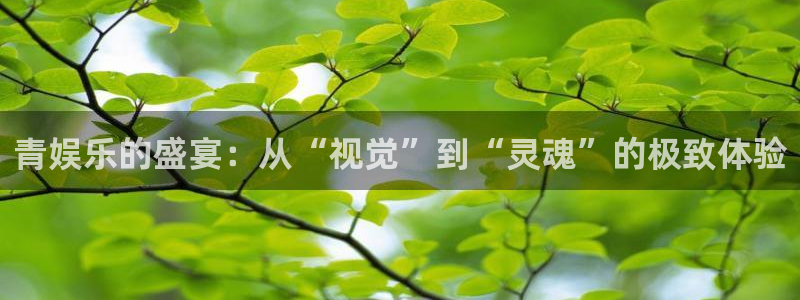 sbobet利记平台：青娱乐的盛宴：从“视觉”到“灵魂”的极致体验