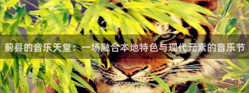 sbobet利记平台下载入口：蓟县的音乐天堂：一场融合本地特色与现代元素的音乐节