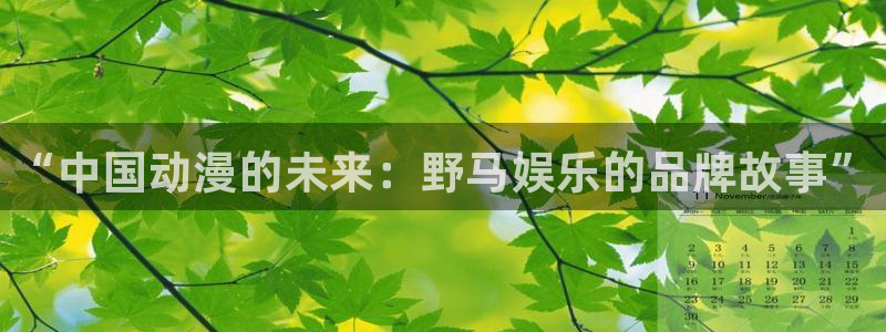 sbobet利记下载并安装：“中国动漫的未来：野马娱乐的品牌故事”