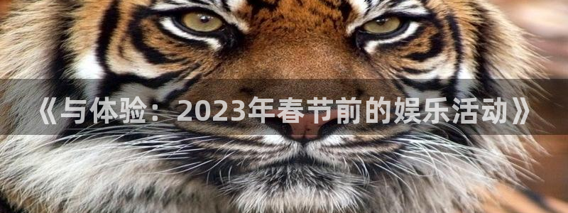 南宫sbobet利记官网下载链接：《与体验：2023年春节前的娱乐活动》