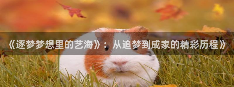 sbobet利记放水时间：《逐梦梦想里的艺海》：从追梦到成家的精彩历程》