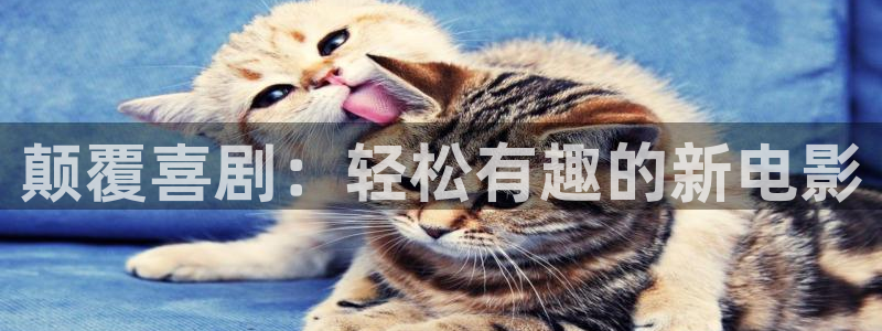 sbobet利记平台注册入口：颠覆喜剧：轻松有趣的新电影