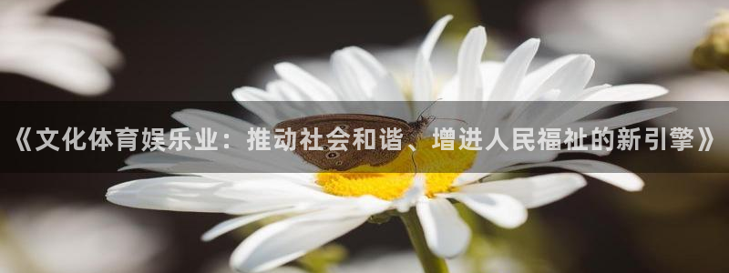 sbobet利记：《文化体育娱乐业：推动社会和谐、增进人民福祉的新引擎》