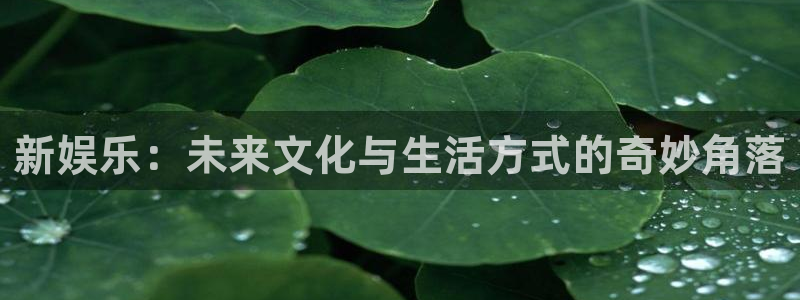 sbobet利记3官网：新娱乐：未来文化与生活方式的奇妙角落