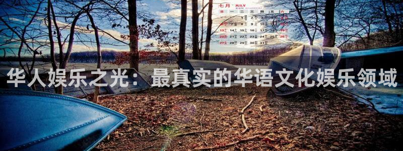sbobet利记体育4：华人娱乐之光：最真实的华语文化娱乐领域